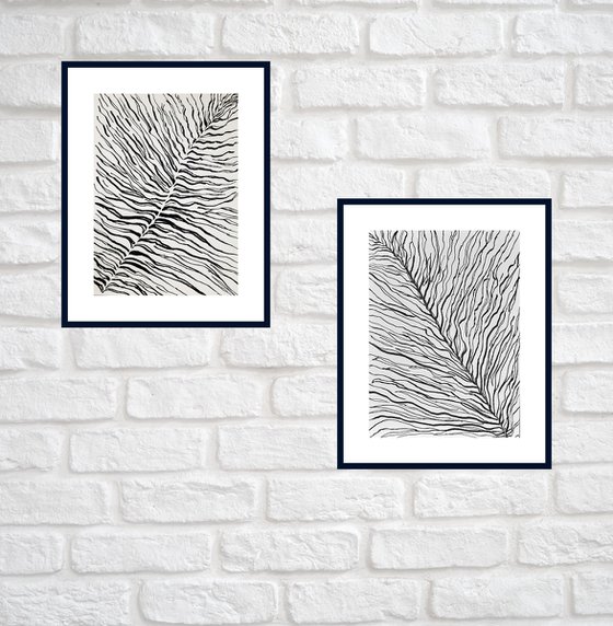Set of Black & White Stripes