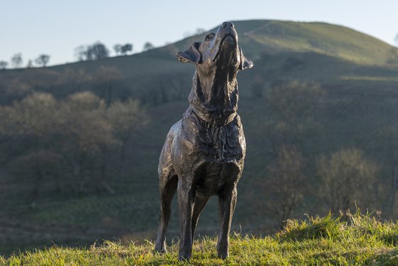 "Leo" Labrador Bronze Resin