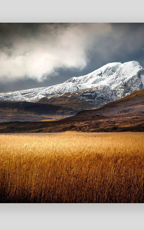 Sea of Gold, Isle of Skye by Lynne Douglas