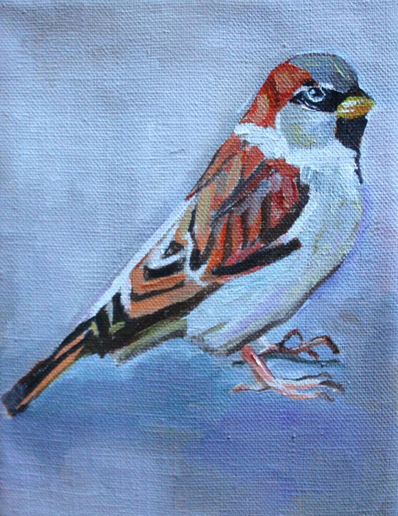 House Sparrow #1