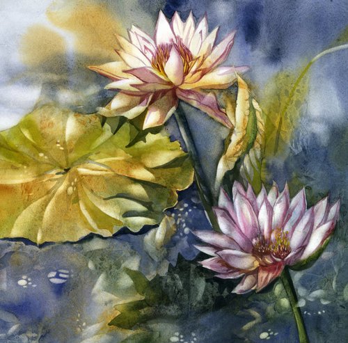 waterlilies by Alfred  Ng