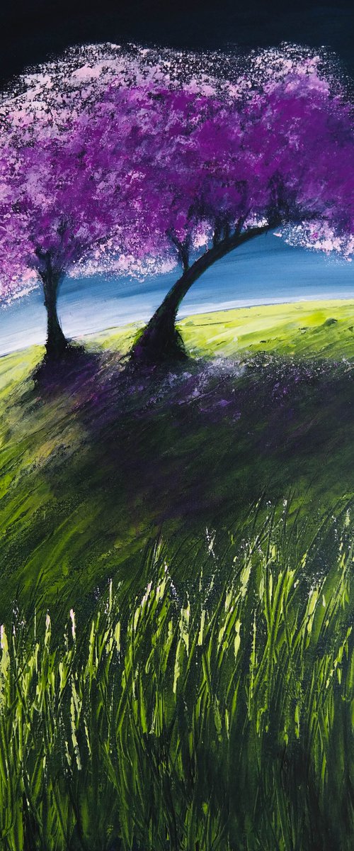 Cherry blossom - Fields and Colors Series by Danijela Dan