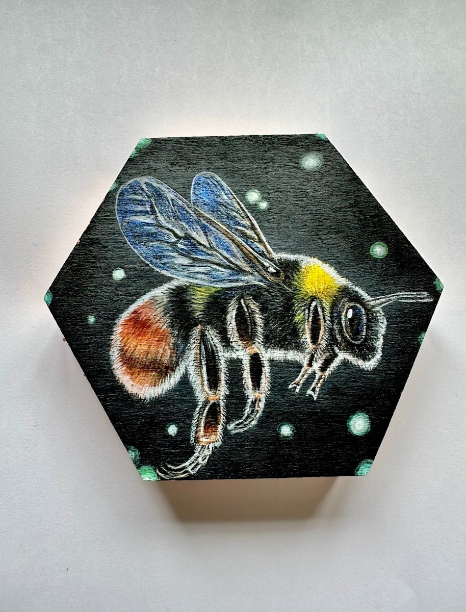 Queen Red Tailed Bumblebee by Louise McNaught