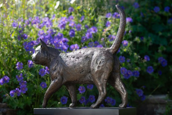 Community Cat (BR sculpture)