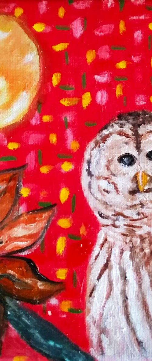 Little owl 3 by Isabelle Lucas
