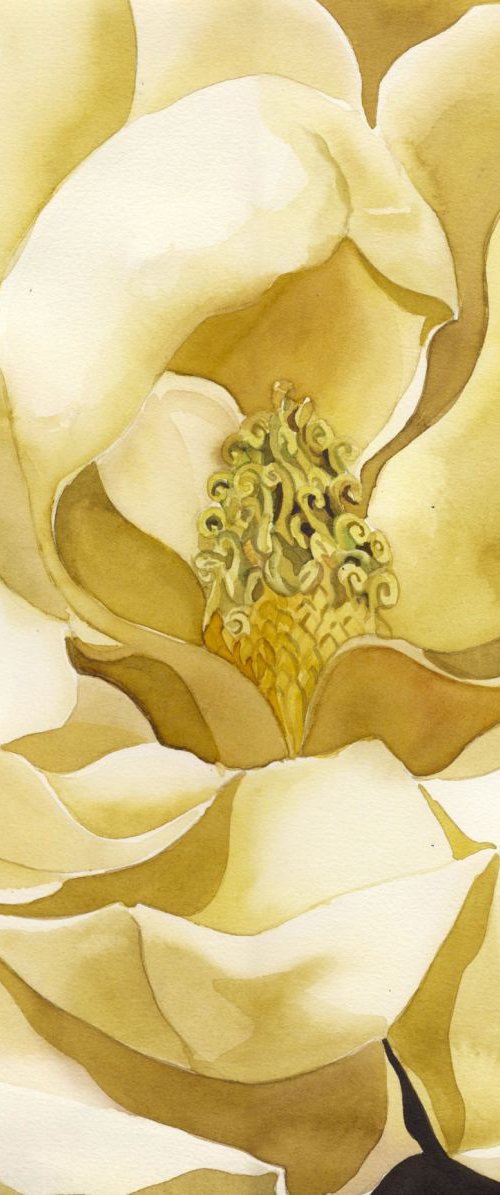 magnolia in yellow by Alfred  Ng