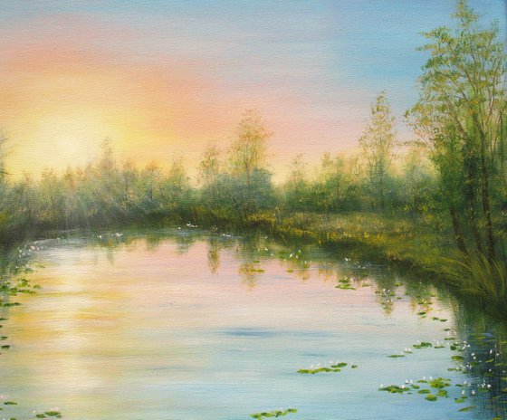 Serene lily pond