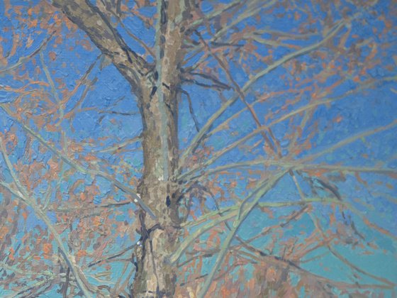 March. The sun is warming