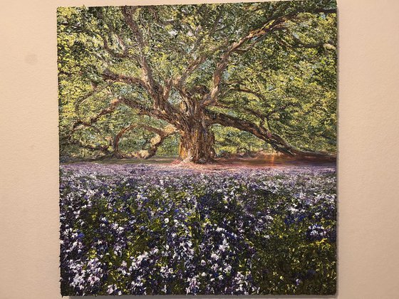 Sunlit Dreams Bluebonnets