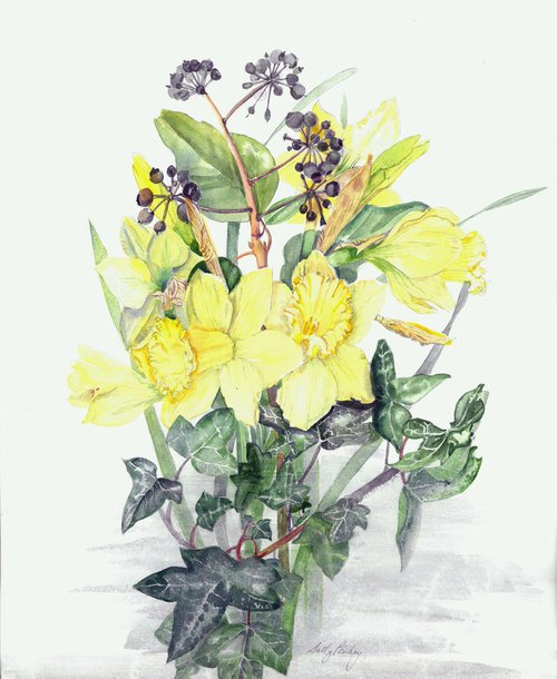 Daffodils by Sally Pinhey