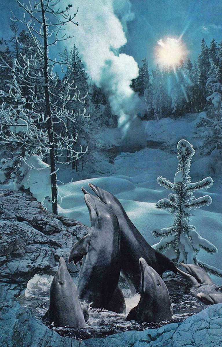 Night Moves by Lyndon Pike