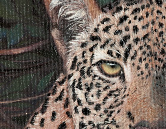 Leopard portrait