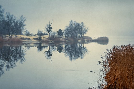 Foggy morning on the lake.