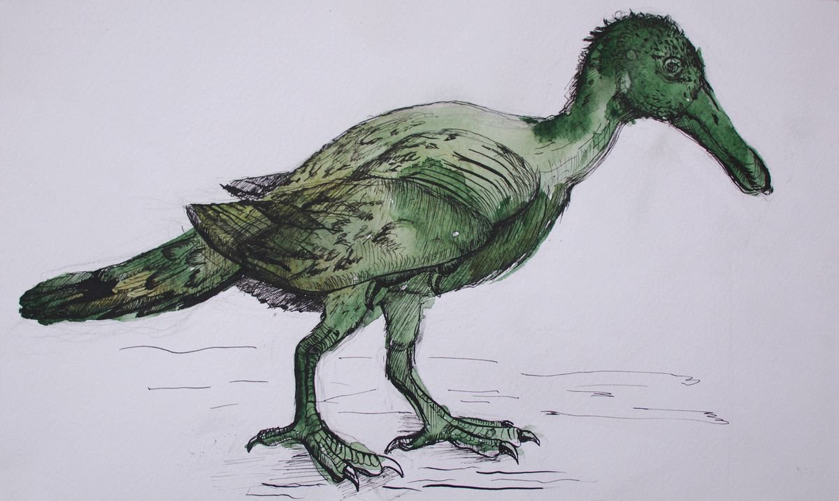 Impressionistic Animal Ink Drawing By Evgeniq Ivanova, 14 X 8, Gull, Original Artwork