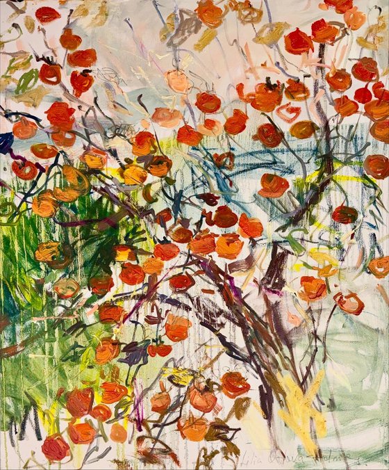 Sweet persimmons.