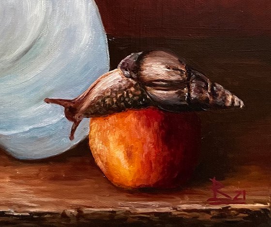 The still life with a nautilus shell