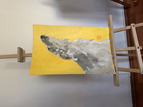 Helios