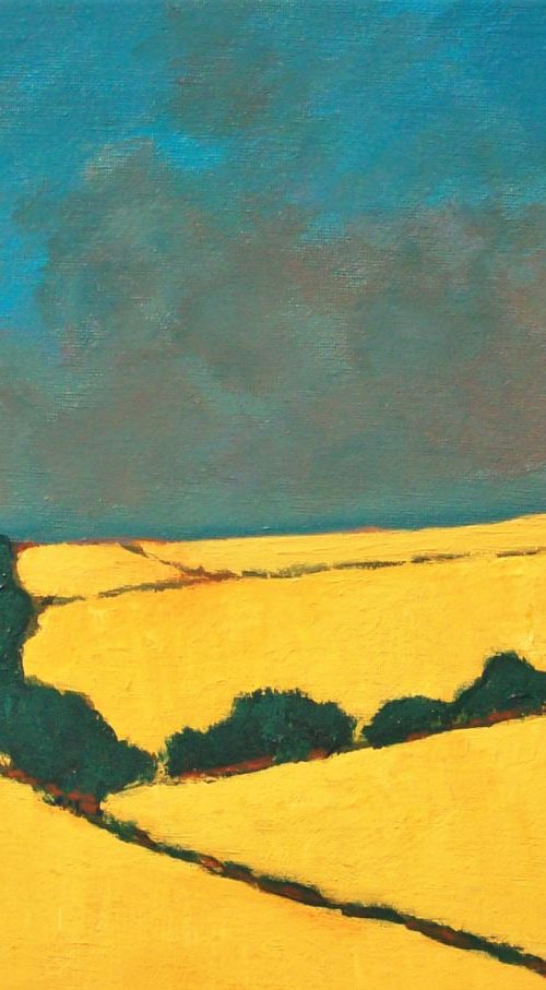 Nicola Valley Impression by David J Edwards