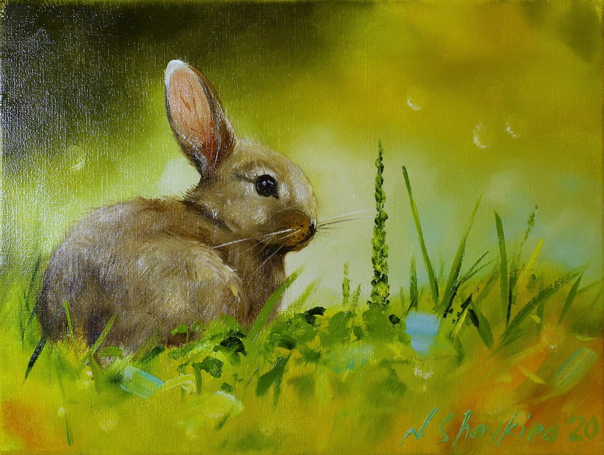 Impressionistic Animal Oil Painting By Natalia Shaykina, 9 X 7", Bunny In Green Grass, Original Artwork