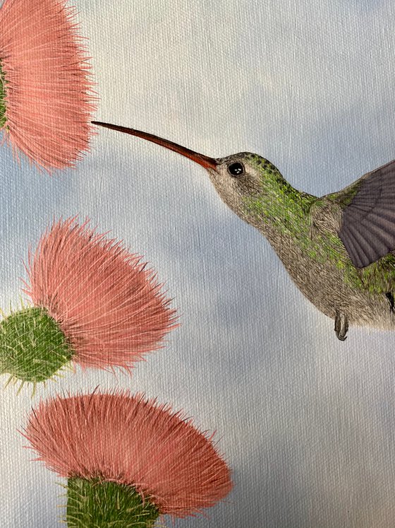 Hummingbird