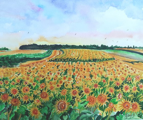 SUNFLOWER FIELD