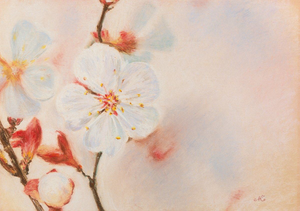 Impressionistic Botanical Painting By Kateryna Nazarenko, 12 X 8", White Flower - Spring Blossom, Original Artwork