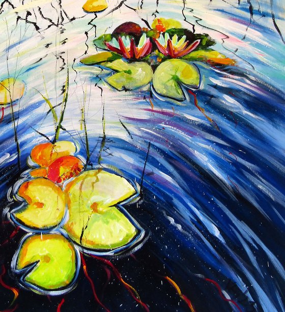 Water mirror and water lilies