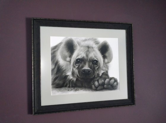 Adorable Hyena