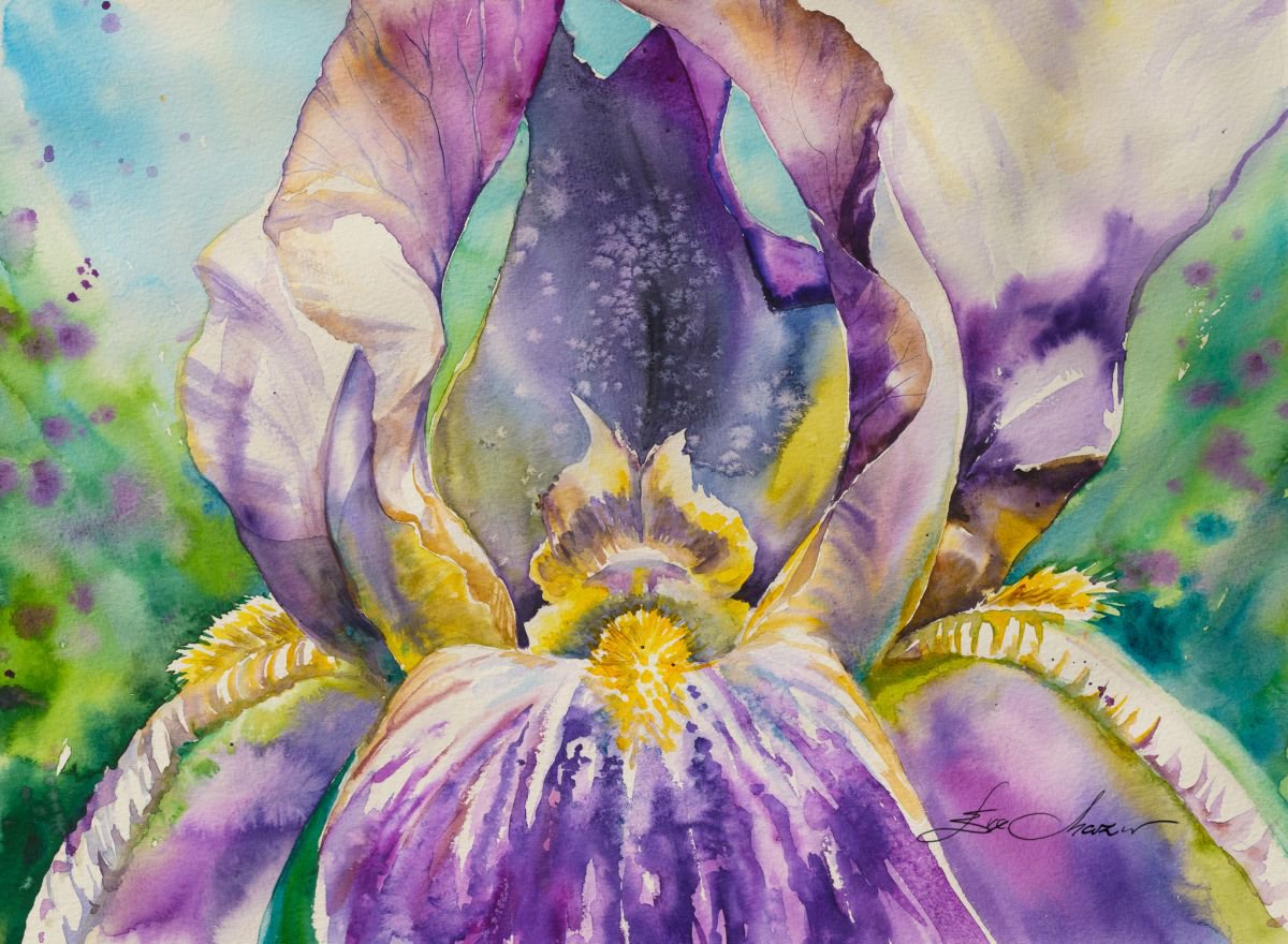 Photorealistic Botanical Watercolour By Eve Mazur, 19 X 14, Iris Flower Close Up, Original Artwork