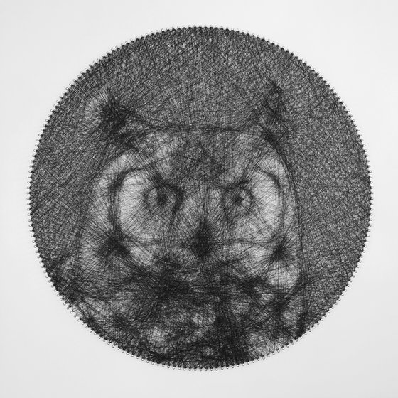Owl string art work made with continuous string