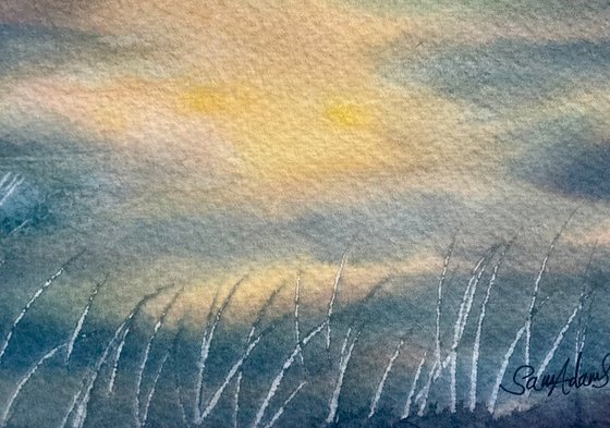 Sunset grasses