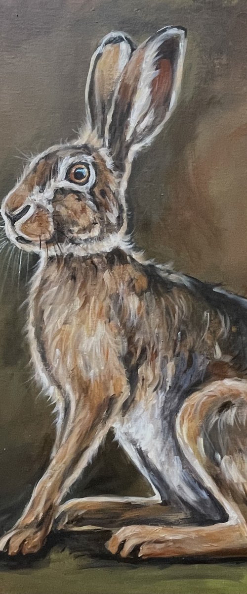 Hare Stare by Louise Brown