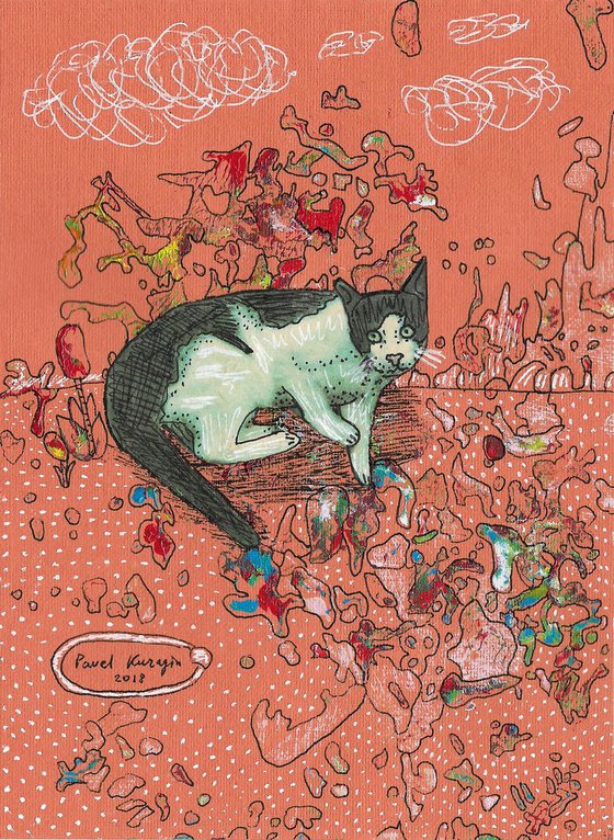 Cat in colorful world