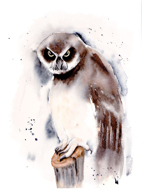 Spectacled owl Original Watercolor Painting