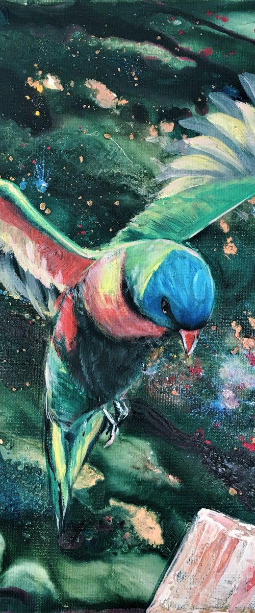 Safe Landing - Rainbow Lorikeet by HSIN LIN