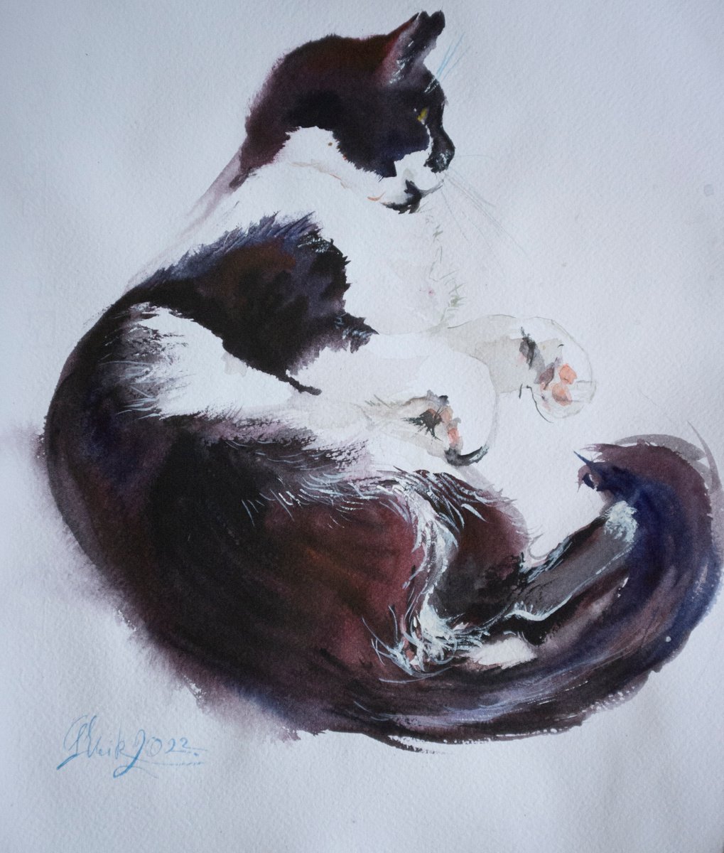 Black and white. Lying cat by Irina Bibik-Chkolian