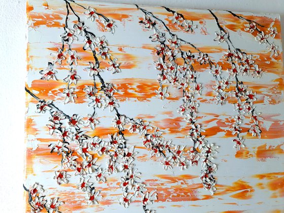 Cherries in the spring 3