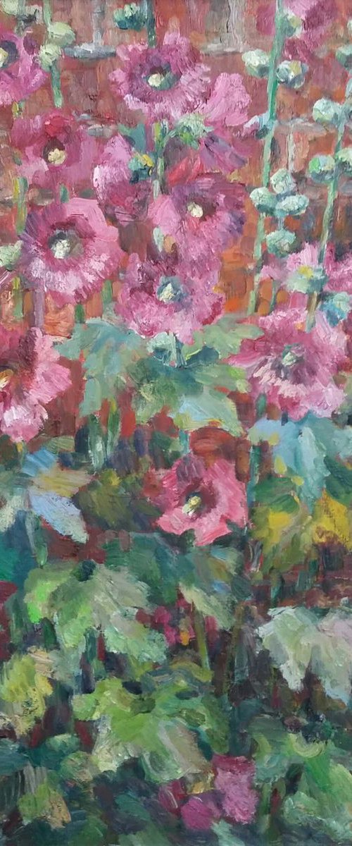 Mallow by Elena Klyan