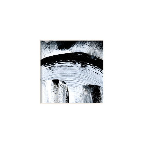 Brush Dance Collection 19