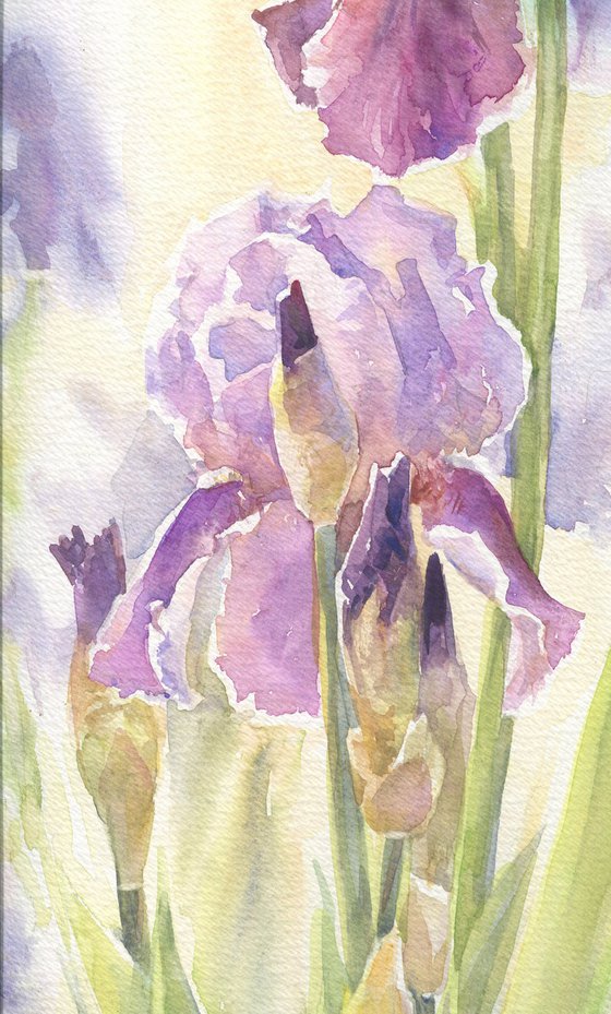 Irises in a garden / ORIGINAL watercolor 15x22 (38x56cm)