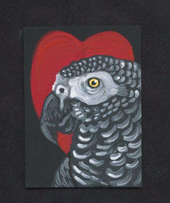 ACEO ATC Original Miniature Painting Valentine African Grey Parrot Pet Bird Art-Carla Smale