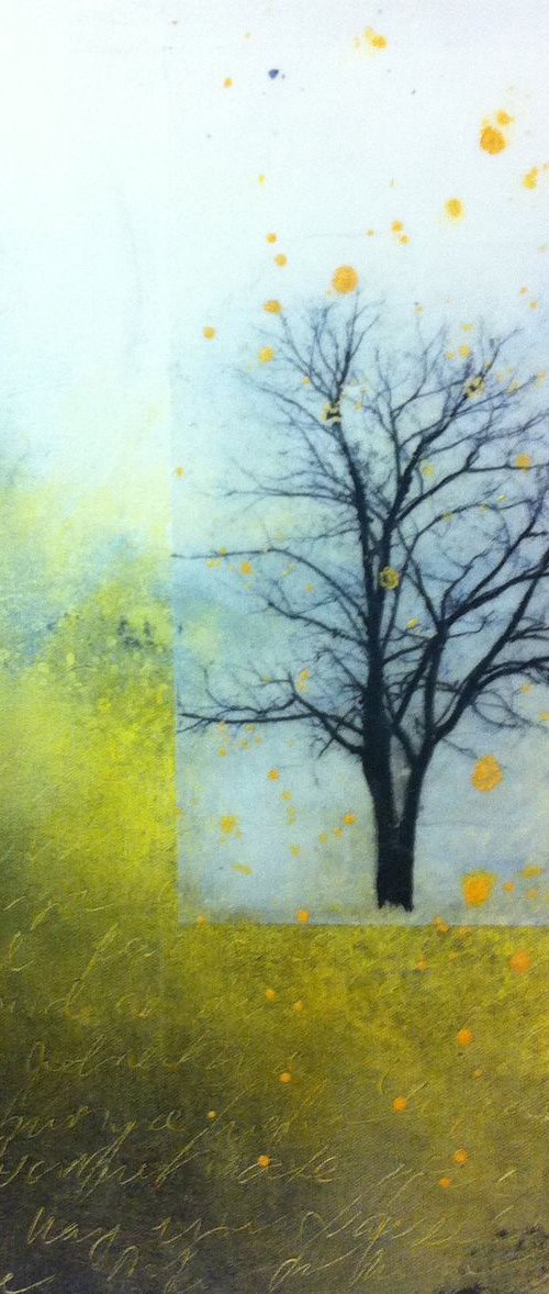 November Glance by Laura Spring