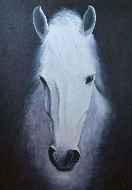 Cavalo Da Princesa