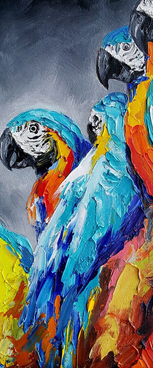 Some rest - Bird, parrots, painting on canvas, gift, parrots art, art bird, animals oil painting,  palette knife by Anastasia Kozorez