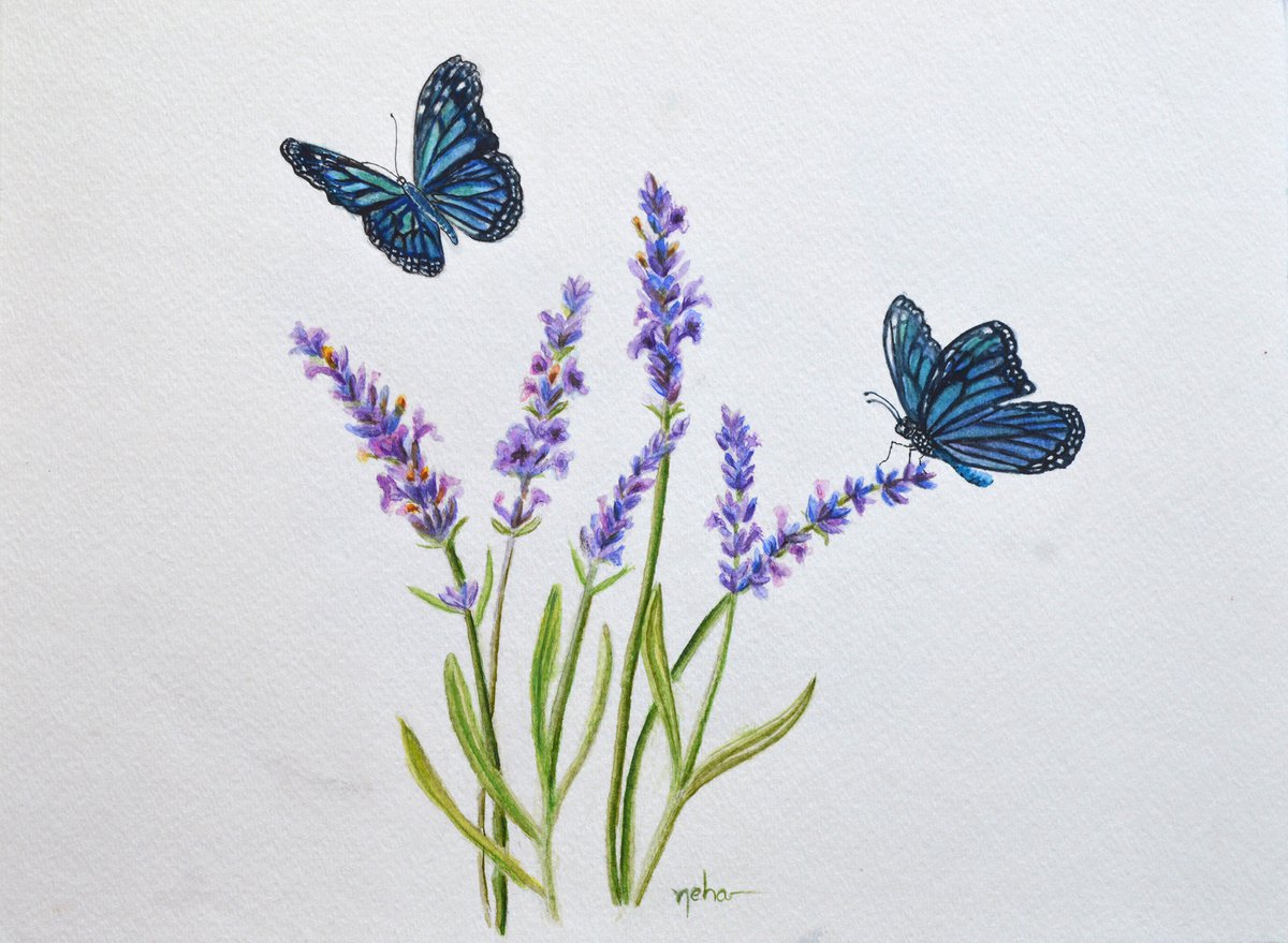 Butterfly and lavender by Neha Soni