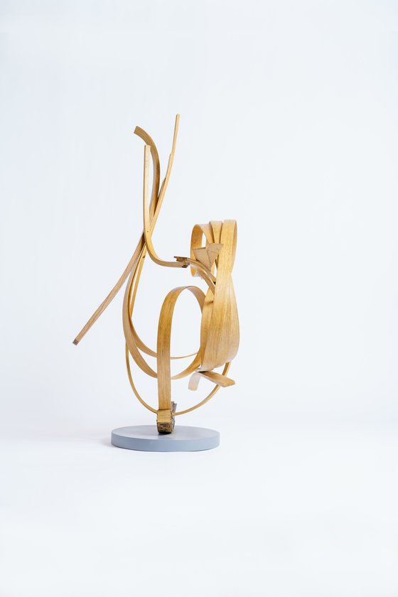 Sculpture Series 4no.1