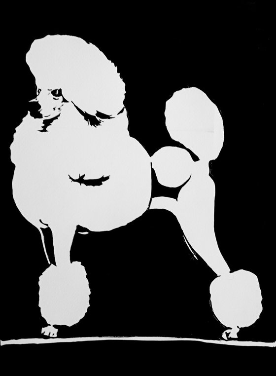 Standard Poodle V
