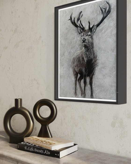 Stag at Winter