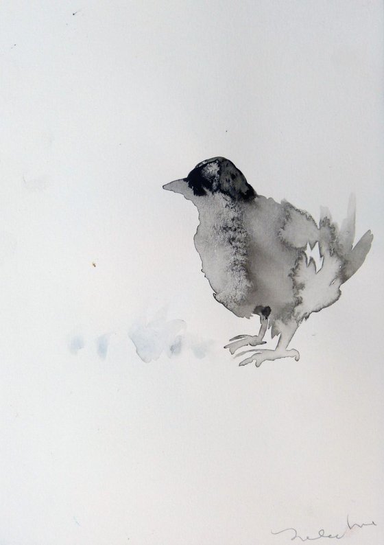 Inquisitive bird, 21x29 cm