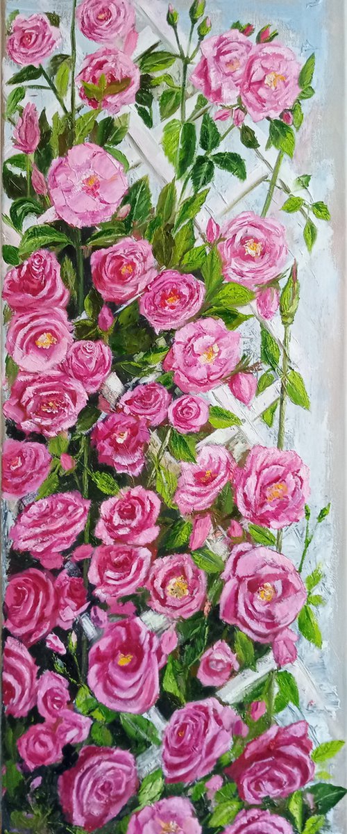 Bloom of pink roses by Ira Whittaker